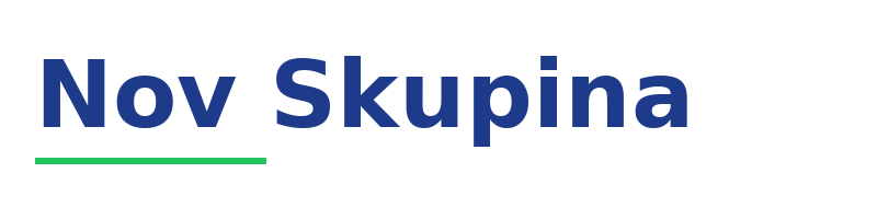 Nov Skupina logo